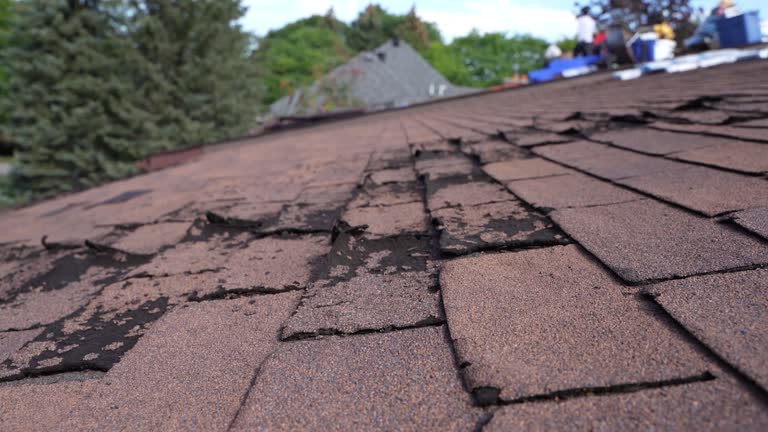 Professional Roofing Service in Milford, UT