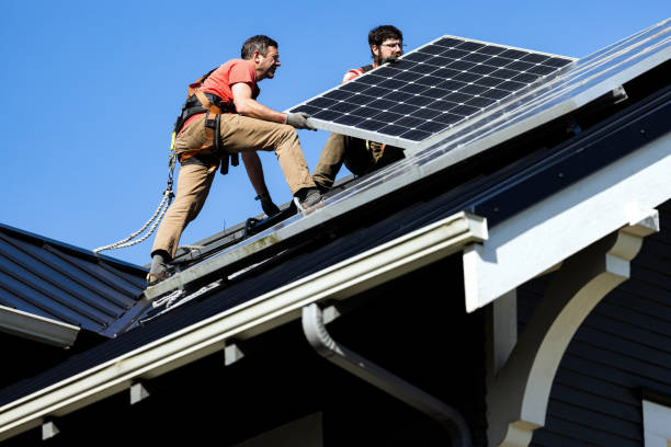 Best Roof Moss and Algae Removal  in Milford, UT